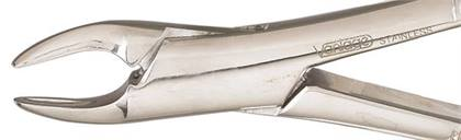 Vantage Forceps Size 150S SG Serrated Univ Upr Incsrs Bicspds & Rts pd Ea thumbnail 3