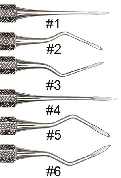 Root Tip Pick Size 5 West Apical Single End Ea thumbnail 7
