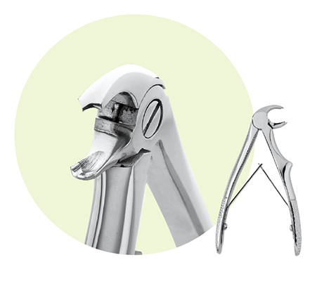 Extracting Forceps Size C2 Pedo Ea thumbnail 5