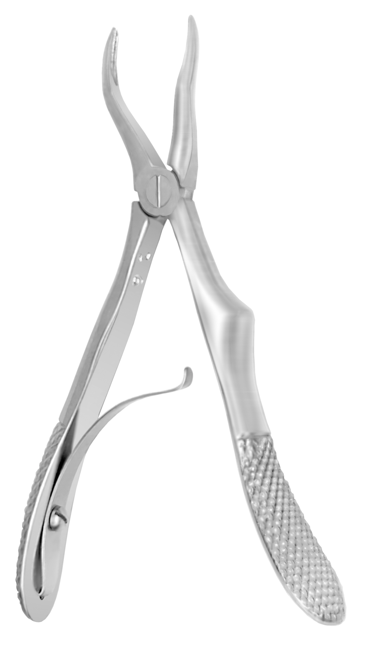 #7C European Child SM Roots Forceps - #7C European Child SM Roots Forceps - Image 1