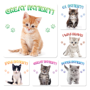 Stickers Kitten Patient 100/Rl thumbnail 2