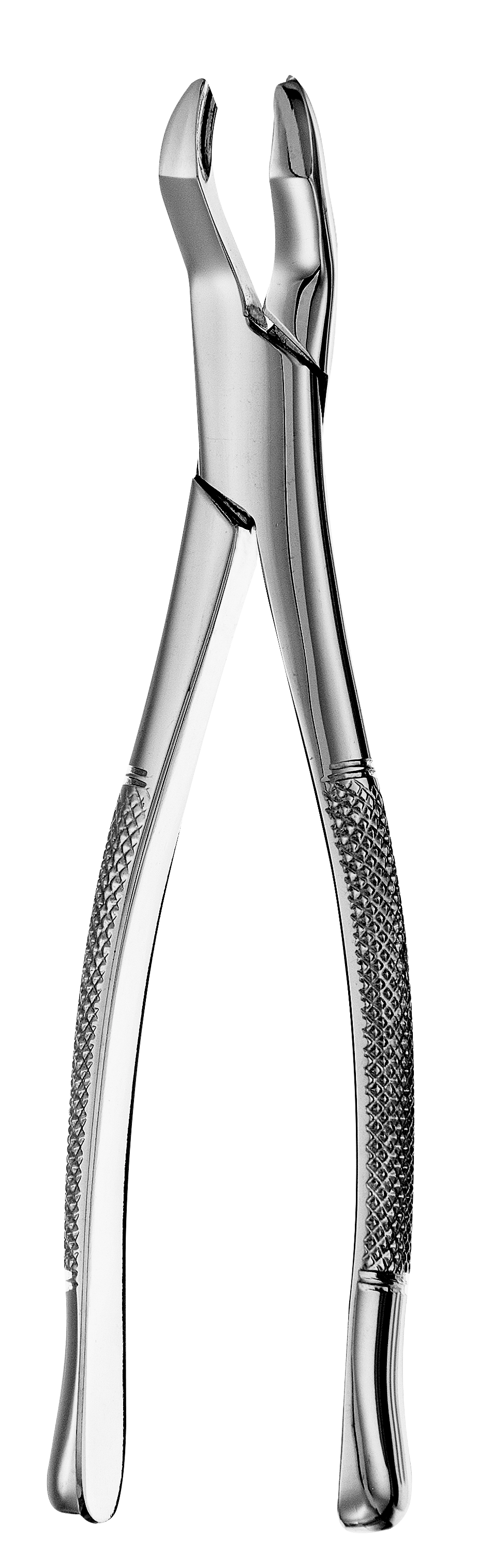 53R Forceps, F53R thumbnail 10