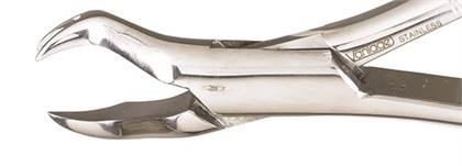 Extraction Forceps, Vantage, Right, # 88R, 1/Pk, V90-88R image